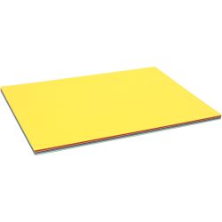 Spring Cardboard