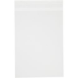 Cellophane Bag