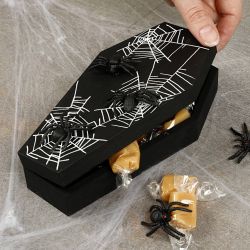 Coffin with magnetic lock