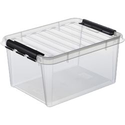 Storage box with lid