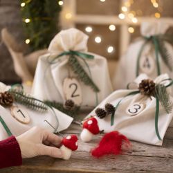 Advent calendar Felting