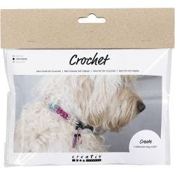 Mini Craft Kit Crochet