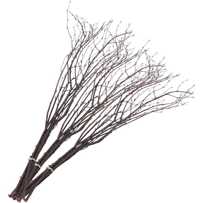 Birch Branches, L: 50-60 cm, 2x10736648 pc/ 1 pack