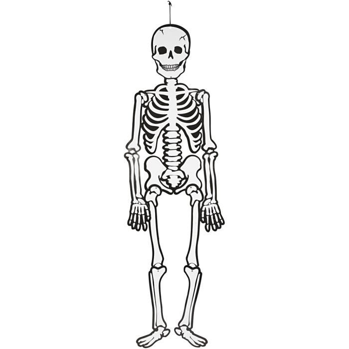 Skeleton, H: 120 cm, 300 g, white, 1 pc