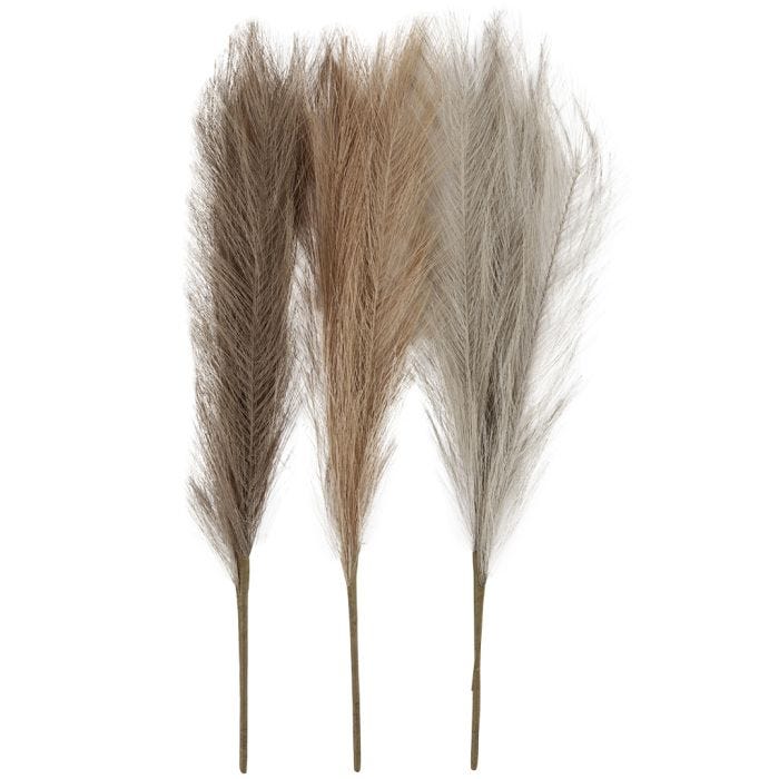 Pampas grass, L: 50 cm, light beige, light brown, light grey, 3 pc/ 1 bundle