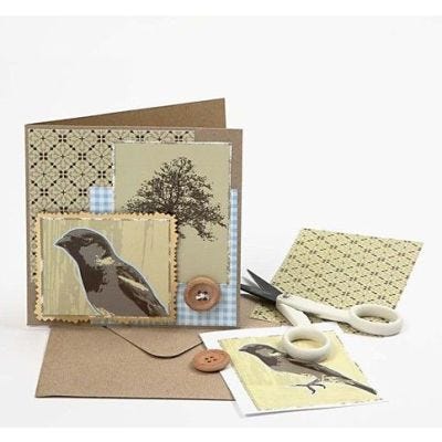 A Sparrow