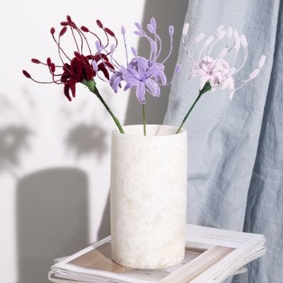 Pipe cleaner spider lily