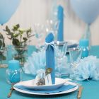 Light blue Table Decorations with Paper Flowers, Balloons, a Napkin folded like a Tower and Place Cards
