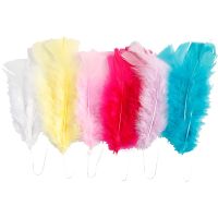 Feathers, L: 11-17 cm, assorted colours, 18 bundle/ 1 pack