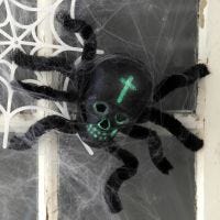A Spider made from a Skull and Pipe Cleaners for Halloween Decoration