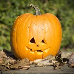 Pumpkin Carving Set