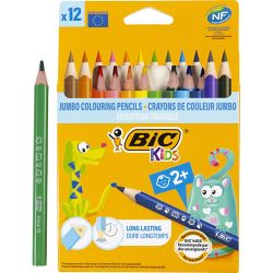 BIC Evolution Triangular Colouring Pencils
