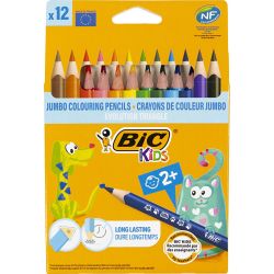 BIC Evolution Triangular Colouring Pencils