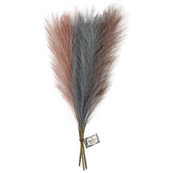 Pampas grass