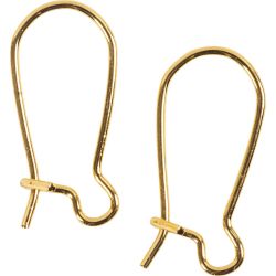 Ear Hanger
