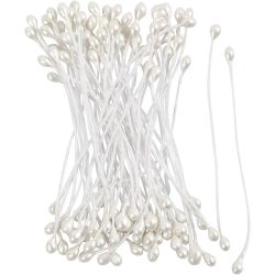 Flower Stamens