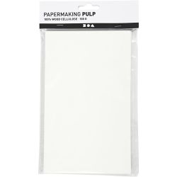 Paper Pulp