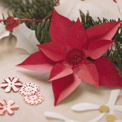 DIY decorating kit