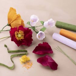 Starter Craft Kit Crepe Paper