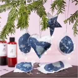 Craft Kit Cyanotype